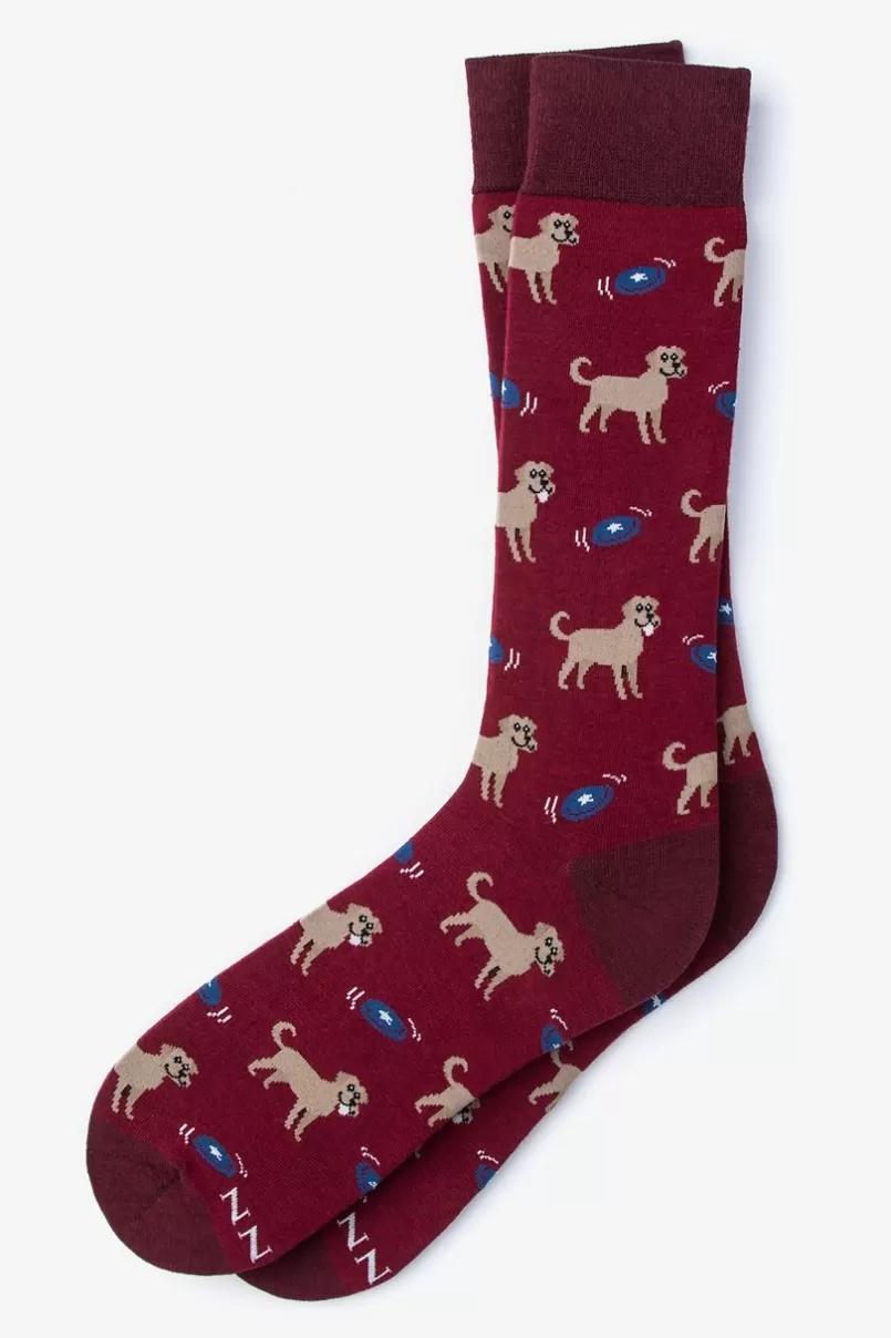 Ties Golden Retriever Sock Red Flash Sale